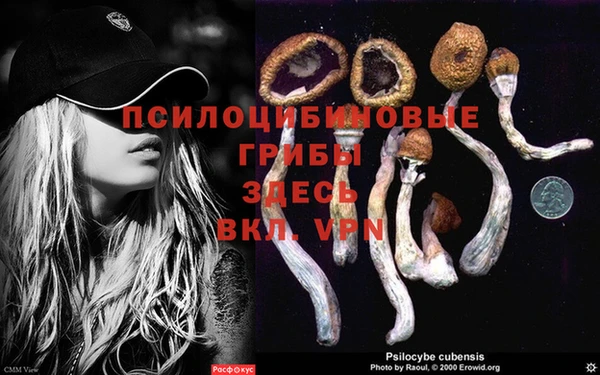 крисы Вязники