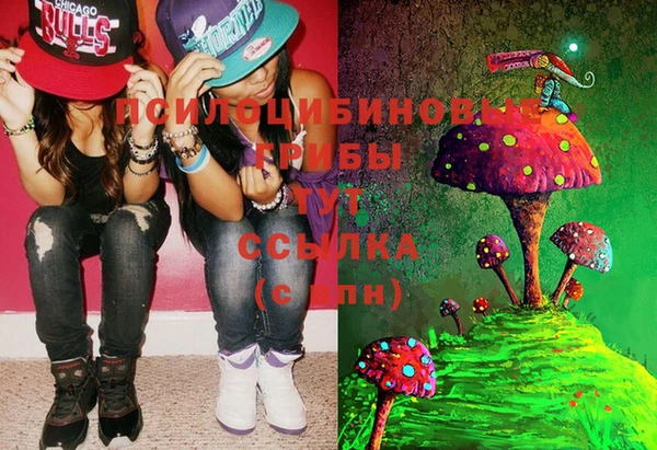 марки lsd Верея
