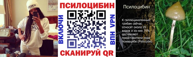 ссылка на мегу ссылка  Енисейск  Псилоцибиновые грибы MAGIC MUSHROOMS  где можно купить  